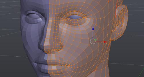 Female head preview image